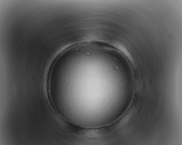 X0000089741043200706281604