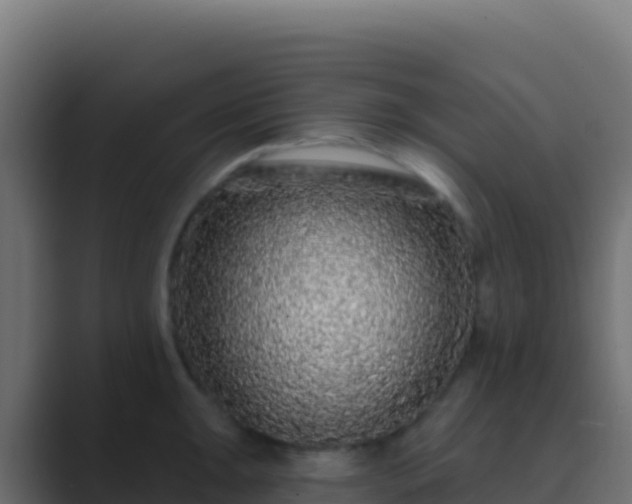 X0000089741047200706281604