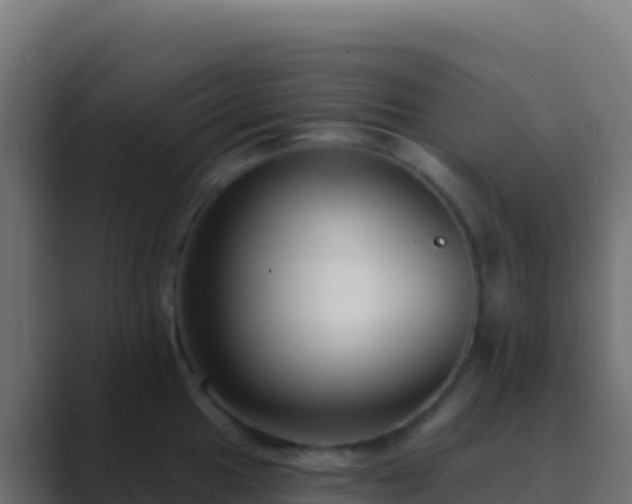 X0000089741049200706281604