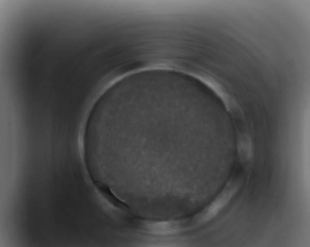 X0000089741054200706281604