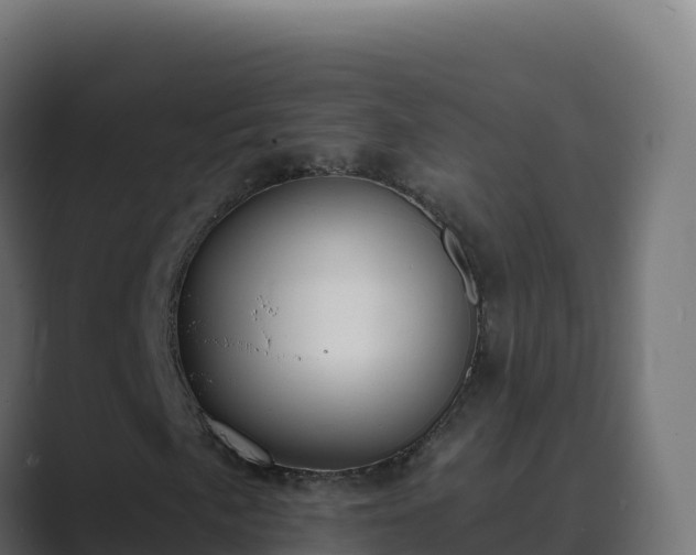 X0000089741057200706281603