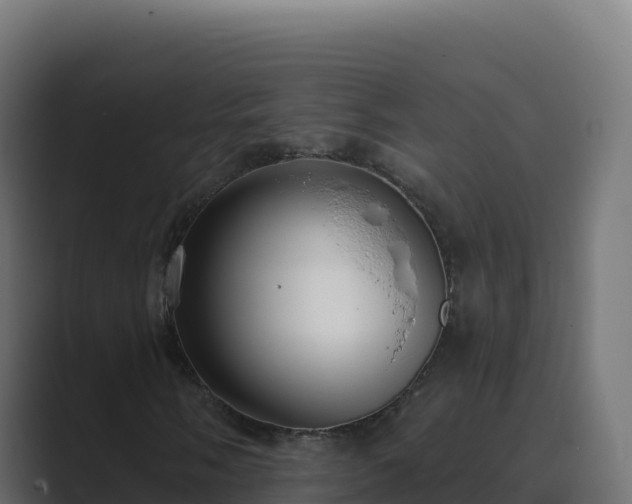 X0000089741058200706281603
