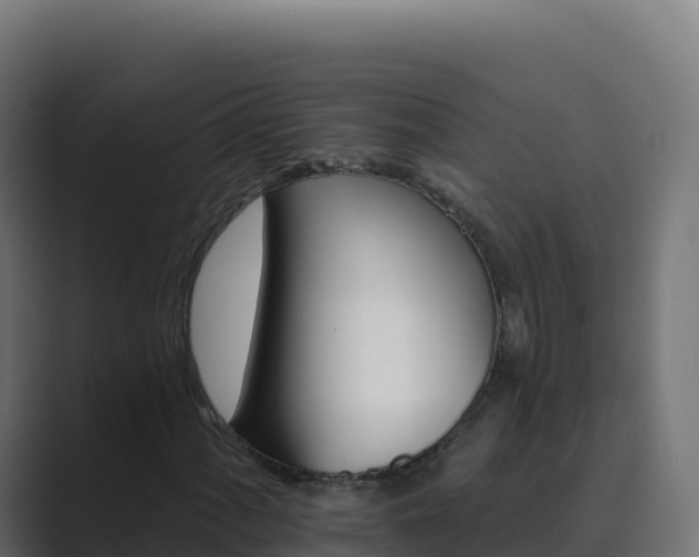 X0000089741060200706281603