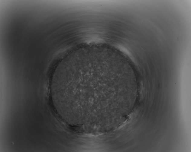 X0000089741063200706281603