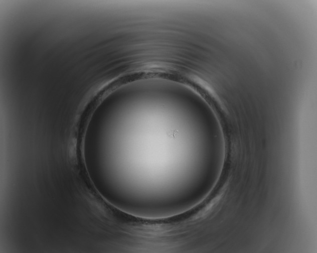 X0000089741066200706281603