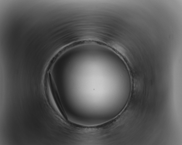 X0000089741068200706281603