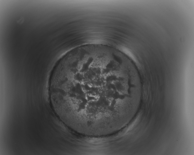 X0000089741071200706281603