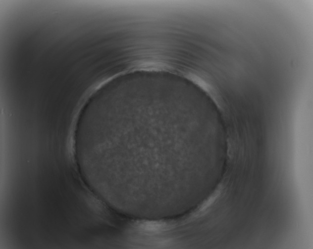 X0000089741074200706281603