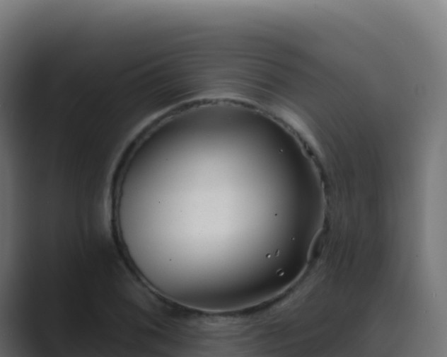 X0000089741076200706281603
