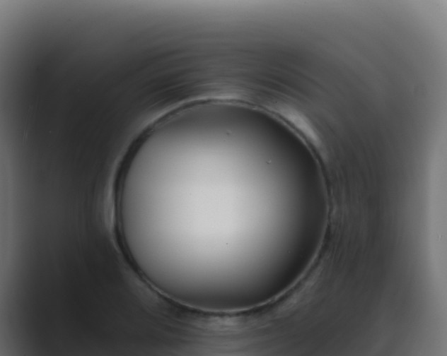 X0000089741080200706281603