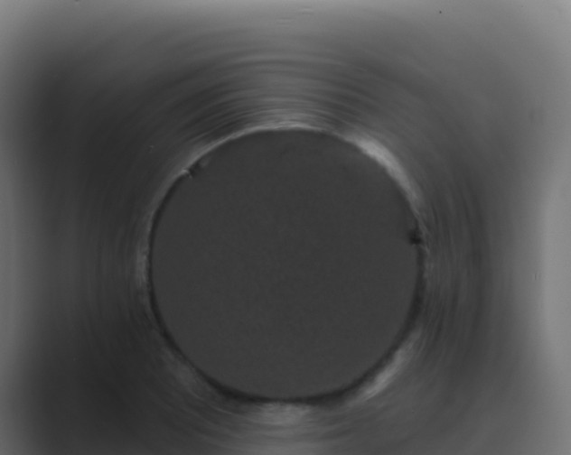 X0000089741081200706281603