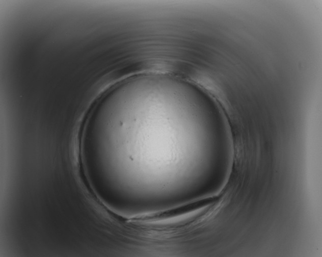 X0000089741083200706281603