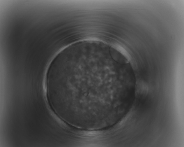 X0000089741084200706281603