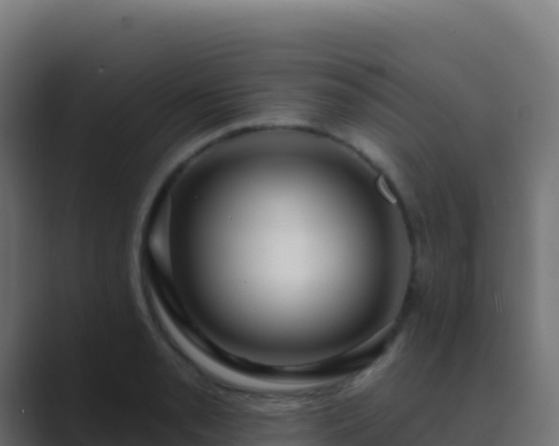 X0000089741085200706281603
