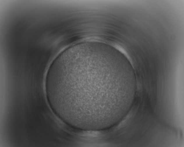 X0000089741090200706281603