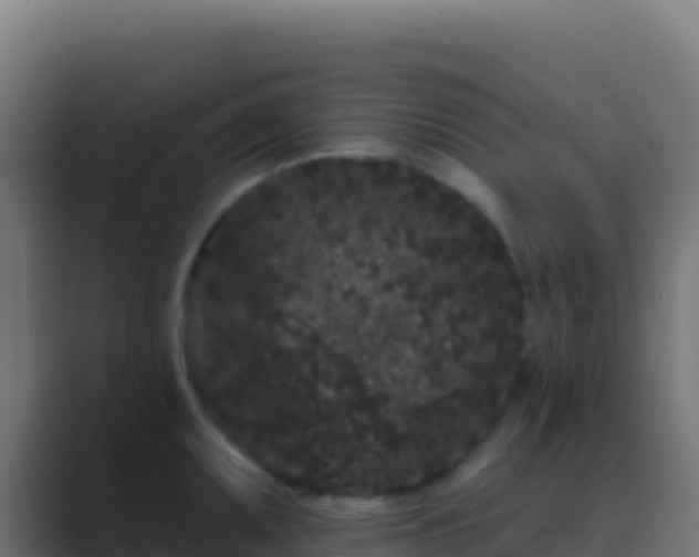 X0000089741095200706281603