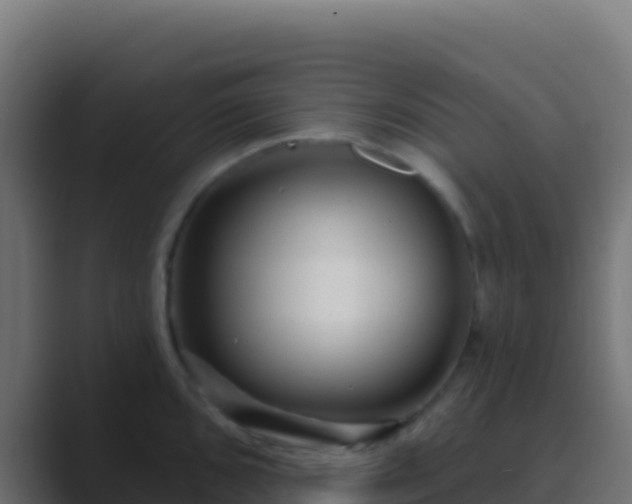 X0000089741096200706281603