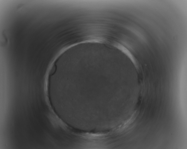 X0000089741099200706281603