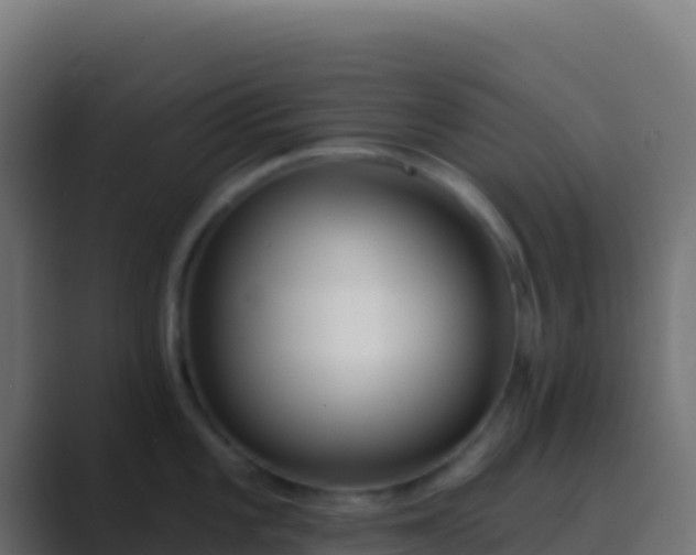 X0000089741101200706281603