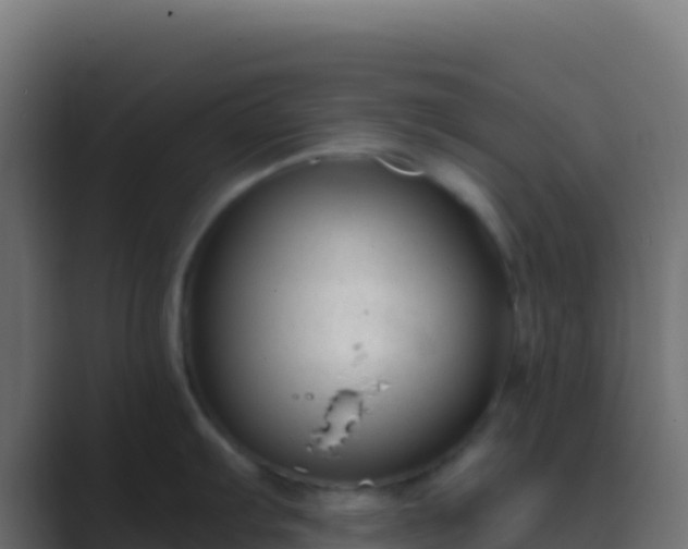 X0000089741103200706281603