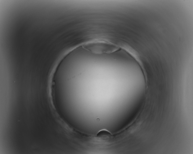 X0000089741104200706281603