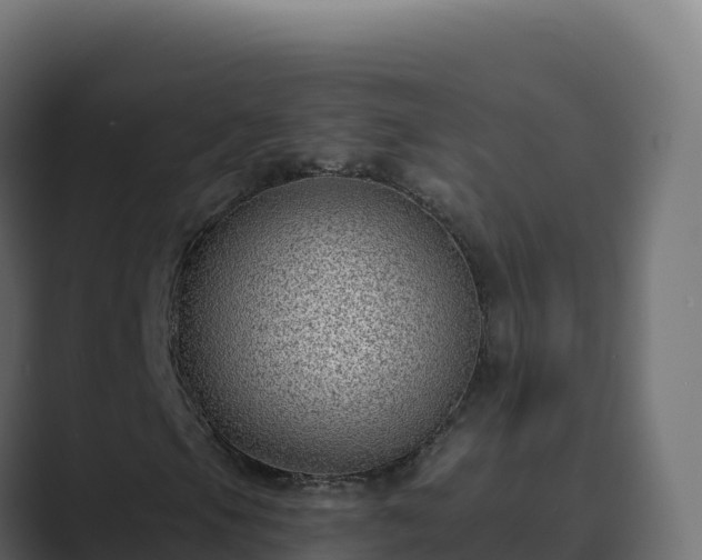 X0000089741105200706281602