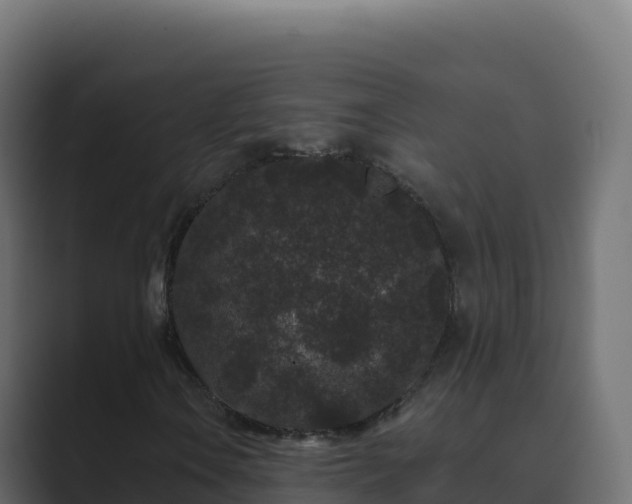 X0000089741106200706281602