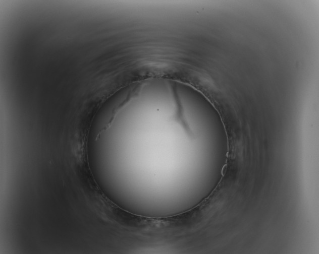 X0000089741109200706281602