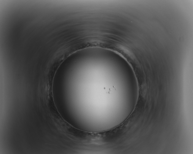 X0000089741111200706281602