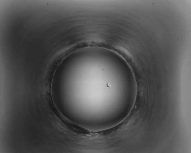 X0000089741112200706281602