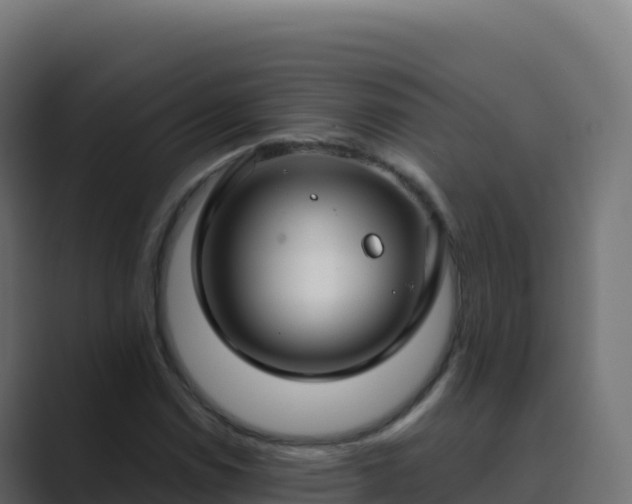 X0000089741114200706281602