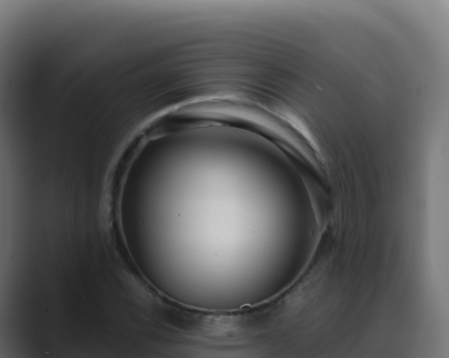 X0000089741116200706281602