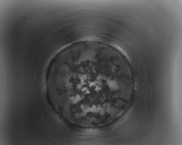 X0000089741117200706281602