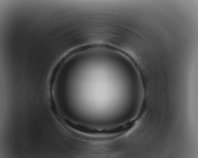 X0000089741118200706281602