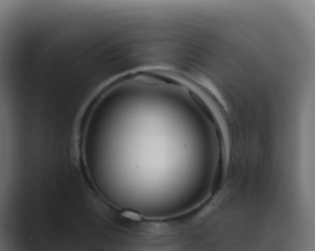 X0000089741124200706281602