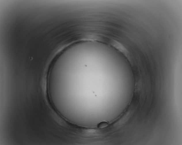 X0000089741130200706281602