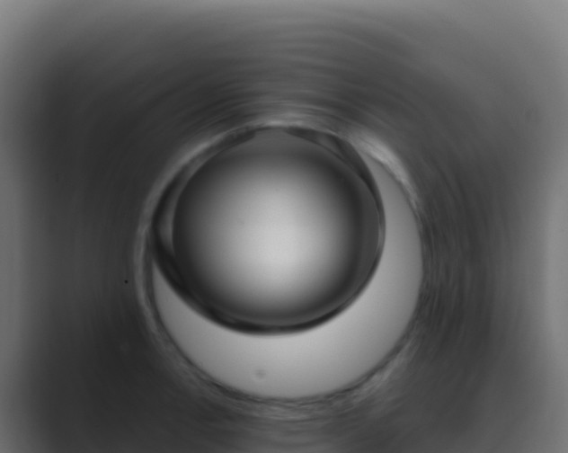 X0000089741138200706281602