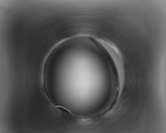 X0000089741148200706281603