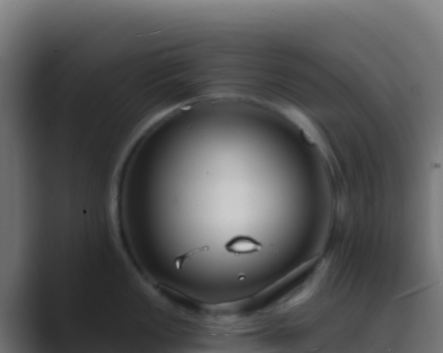 X0000089741149200706281603