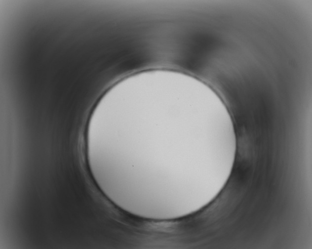 X0000089741150200706281603