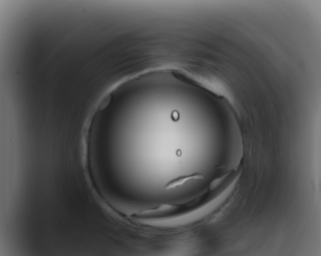 X0000089741151200706281603