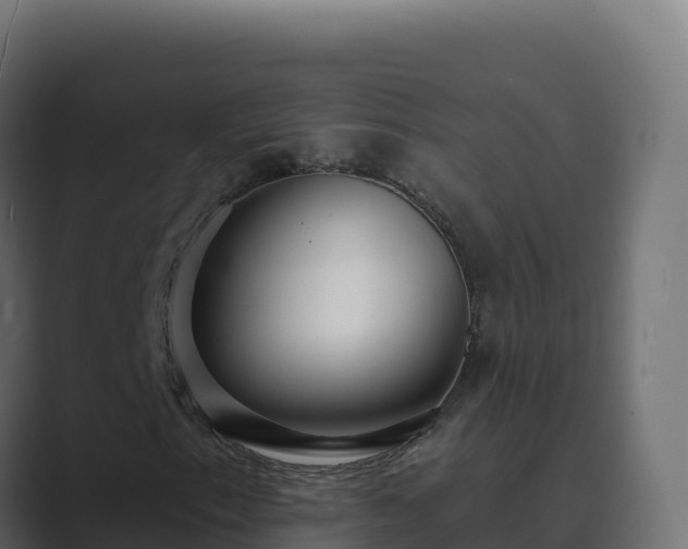 X0000089741153200706281602