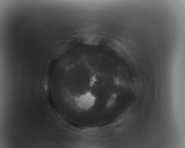 X0000089741154200706281602
