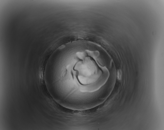 X0000089741155200706281602