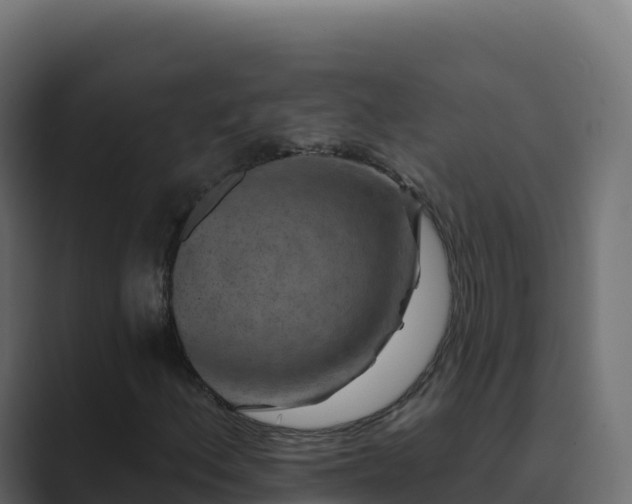 X0000089741156200706281602