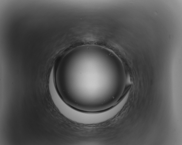 X0000089741157200706281602