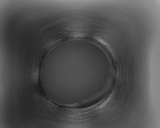 X0000089741161200706281602