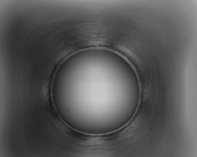 X0000089741162200706281602