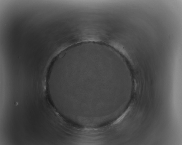 X0000089741165200706281602