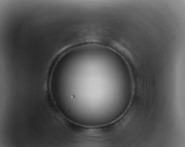 X0000089741166200706281602
